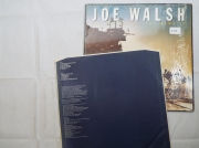 Joe Walsh You bought it you name it 1108 (6) (Copy)